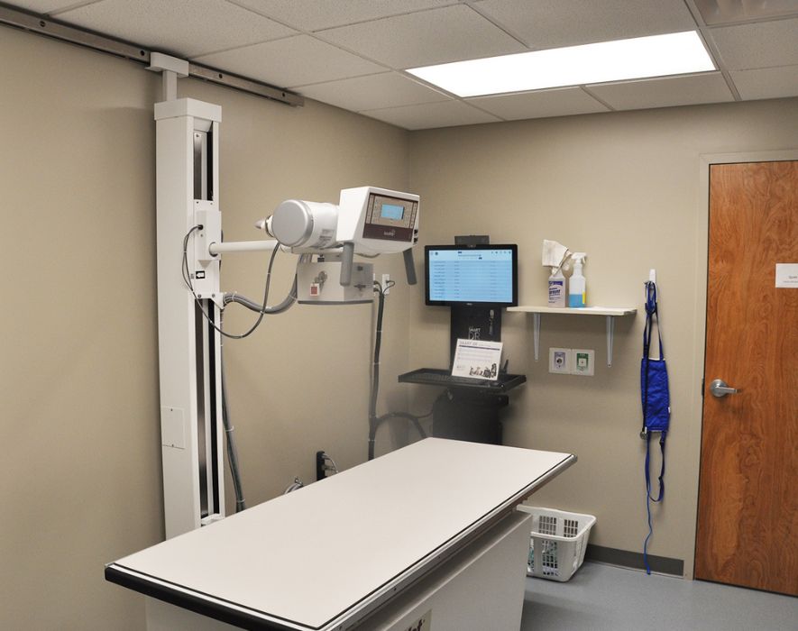 Quartet Veterinary Specialty Hospital Digital Radiology