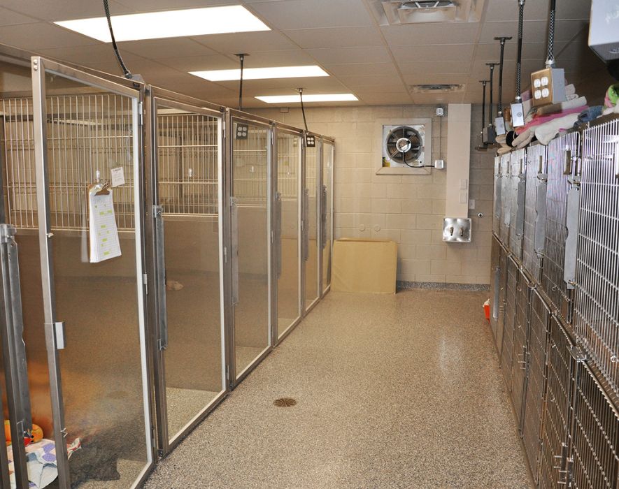 Quartet Veterinary Specialty Hospital Cages and Kennels