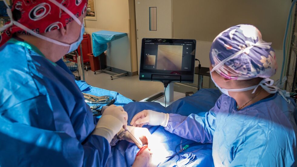 Cary NC Veterinary Services Quartet Vet Specialty Hospital