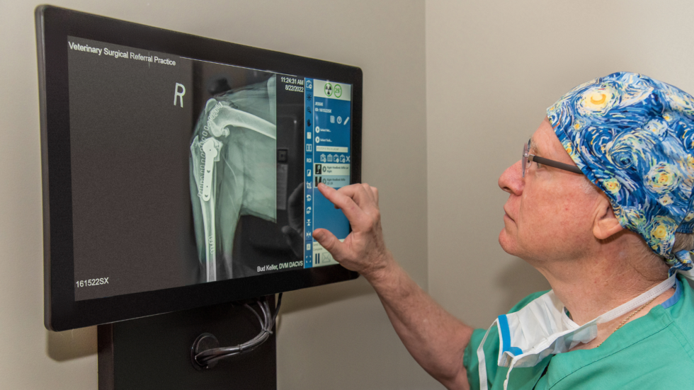 Cary NC Veterinary Services Quartet Vet Specialty Hospital